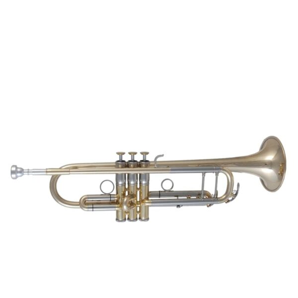 ETR-601G Trompete mit Goldmessing-Becher